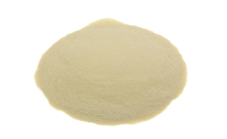 Xanthan Gum